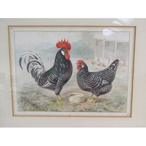 6070 - JOSEPH W. LUDLOW (1840-1915): A pair of Victorian watercolours of cockerels and hens, framed and gla... 