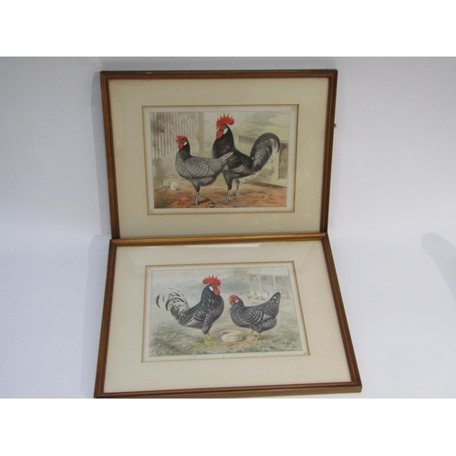 6070 - JOSEPH W. LUDLOW (1840-1915): A pair of Victorian watercolours of cockerels and hens, framed and gla... 