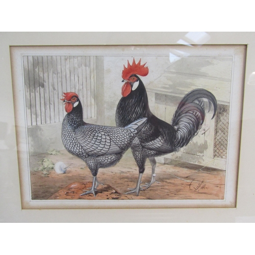 6070 - JOSEPH W. LUDLOW (1840-1915): A pair of Victorian watercolours of cockerels and hens, framed and gla... 