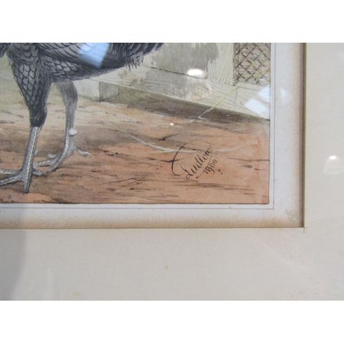6070 - JOSEPH W. LUDLOW (1840-1915): A pair of Victorian watercolours of cockerels and hens, framed and gla... 