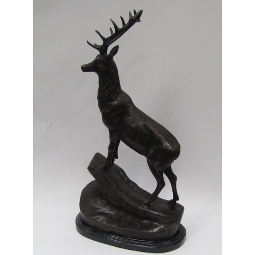 6172 - A pair of bronze Highland stags on rocky mount on marble base, 67cm tall    (R) £750