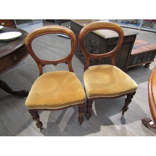 6204 - A Regency style yew wood circular dining table of large proportions. The top 182cm diameter on a fou... 