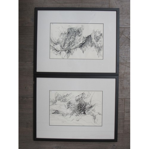 9415 - D Brightwell (?), two framed pen and ink landscape drawings, each intialled DB to front and signed a... 