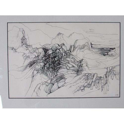 9415 - D Brightwell (?), two framed pen and ink landscape drawings, each intialled DB to front and signed a... 