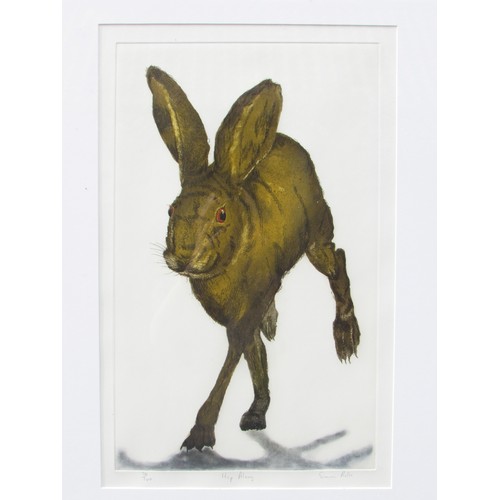 9416 - SONIA ROLLO (XX/XXI) A framed and glazed limited edition print of a Hare, signed and titled 'Hop Alo... 