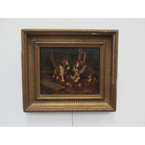 8034 - An early 19th Century oil on canvas depicting St Bernard puppies in barn playing with apples. Unsign... 