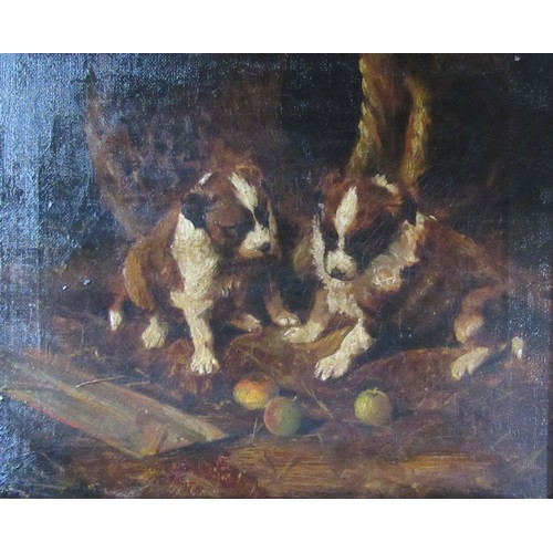 8034 - An early 19th Century oil on canvas depicting St Bernard puppies in barn playing with apples. Unsign... 