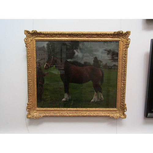 8005 - FREDERICK MANSFIELD LUTYENS (1860-1924) An oil on canvas - 'Lily Of The Dale', portrait of a horse a... 