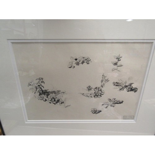 1508 - JOHN COPLEY (1875-1950): A framed and glazed pen and ink drawing of foliage studies, artist's Estate... 