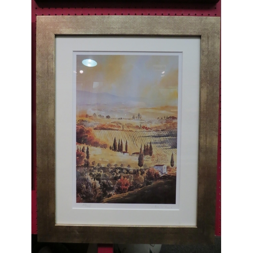 1147 - An Alan Reed limited edition pencil signed print of Tuscany, No. 168/950, framed and glazed, 41cm x ... 