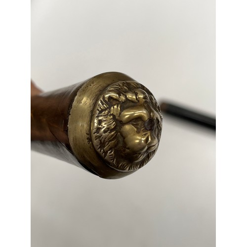 9213 - An early 20th Century swordstick, horn and carved bone grip, lion pommel, twist action collar openin... 