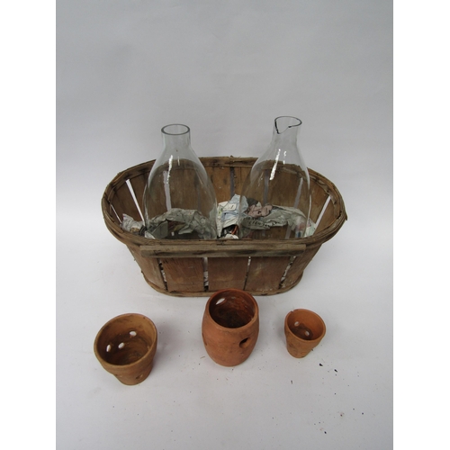 5119 - Two glass orchid cloches in a wooden basket with three clay orchid pots