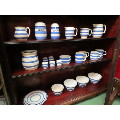 4124 - A selection of blue and white Cornish wares including T.G. Green sugar sifter and flour sifter a/f