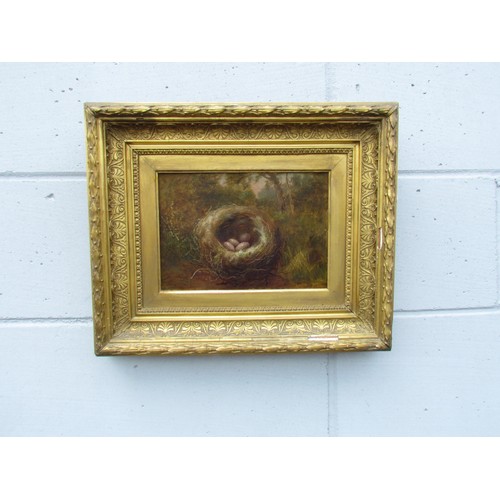 9053 - A Pair of 19th Century oil on canvas studies of Bird's Nests in a naturalistic setting. Unsigned wor... 