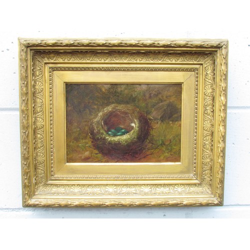 9053 - A Pair of 19th Century oil on canvas studies of Bird's Nests in a naturalistic setting. Unsigned wor... 