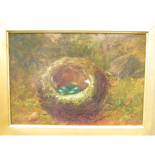 9053 - A Pair of 19th Century oil on canvas studies of Bird's Nests in a naturalistic setting. Unsigned wor... 