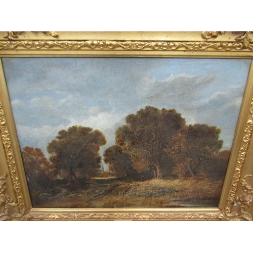 9006 - JAMES STARK (1794-1859) Figures on wooded track with spire and track to background, oil on canvas, s... 