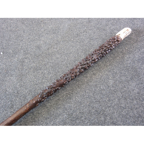 1072 - A gnarled wood walking stick with deer antler knop bearing Masonic symbol