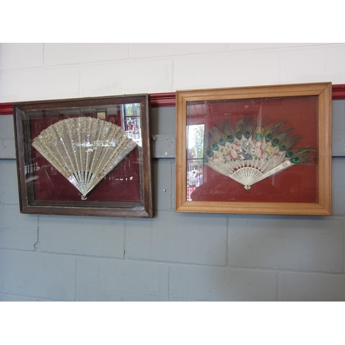 1076 - Two fans in display cases, an Oriental example with painted peacock feathers and a lace and mother-o... 