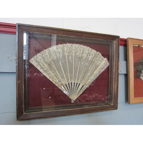 1076 - Two fans in display cases, an Oriental example with painted peacock feathers and a lace and mother-o... 