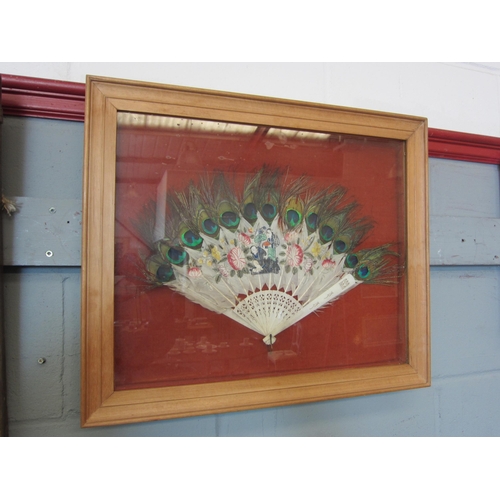 1076 - Two fans in display cases, an Oriental example with painted peacock feathers and a lace and mother-o... 