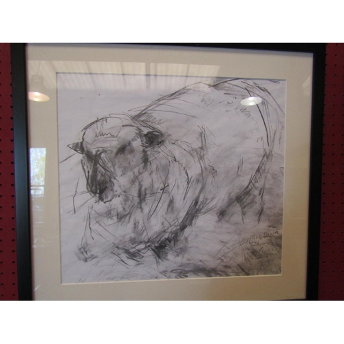 1092 - TERRY COPPIN (b.1939): Three framed and glazed charcoal studies of cattle and calf and Oxford Ram.  ... 