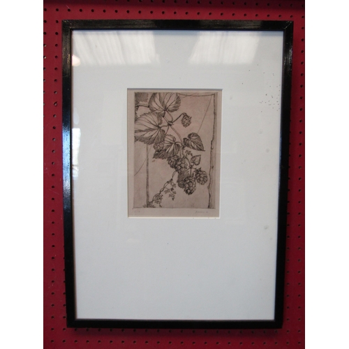 1093 - An M. Hadfield limited edition lithograph of hops, pencil signed and dated 1931, No. 2-6, framed and... 