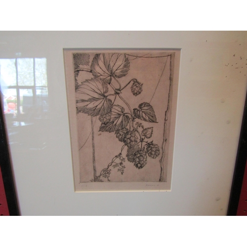 1093 - An M. Hadfield limited edition lithograph of hops, pencil signed and dated 1931, No. 2-6, framed and... 