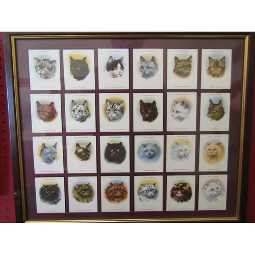 1104 - Two framed and glazed cigarette card displays, Lighthouses and Cats productions     (E) £10-20