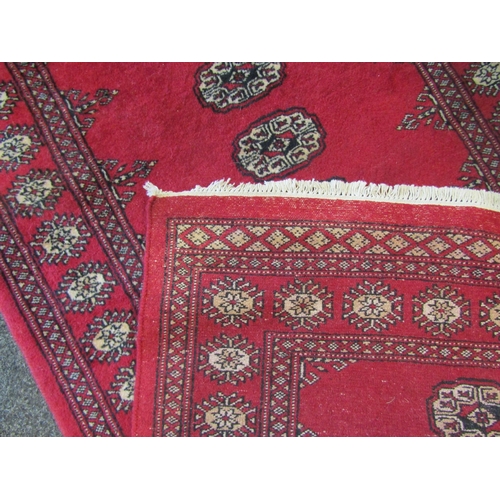 1050 - A Pakistan hand knotted red ground wool rug, central row of gulls and multiple borders, 160cm x 96cm
