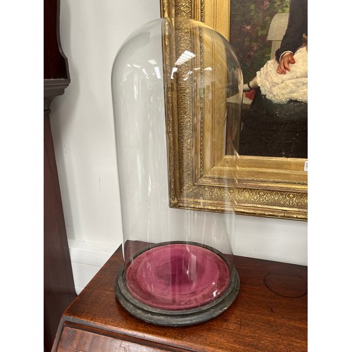9020 - Two glass domes on stands, 49cm tall. 
width of one glass dome 24cm and one 22cm