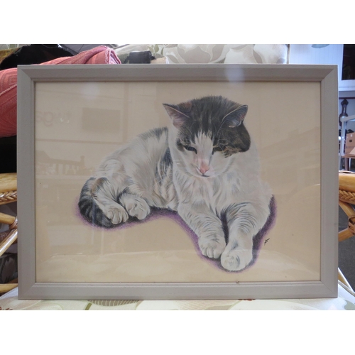 Lot 1114      