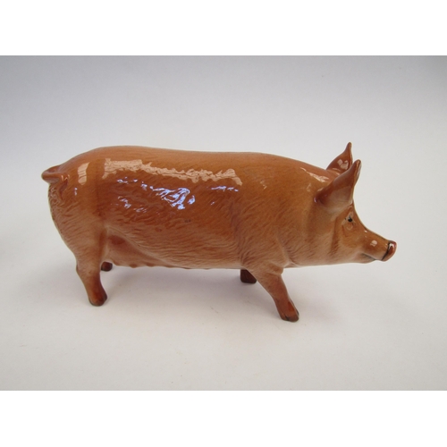 9063 - A Royal Doulton Tamworth Pig, model no. G215