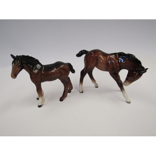 9085 - A Beswick Shire Foal in brown gloss, model no.1053 together with a Beswick large Foal (head down) in... 