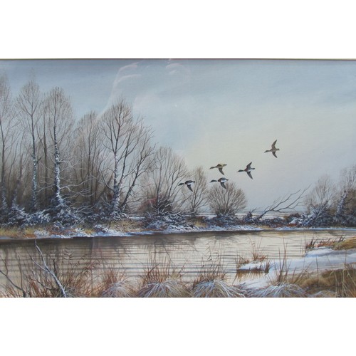 4037 - SYDNEY F. CLARKE (1939-2014) A framed and glazed watercolour, Mallards in flight over a Broads river... 