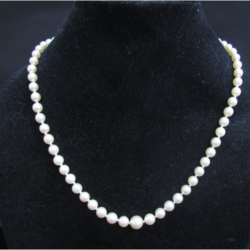 4407 - WITHDRAWN - A single strand graduated pearl necklace, 43cm long with 14k white gold clasp