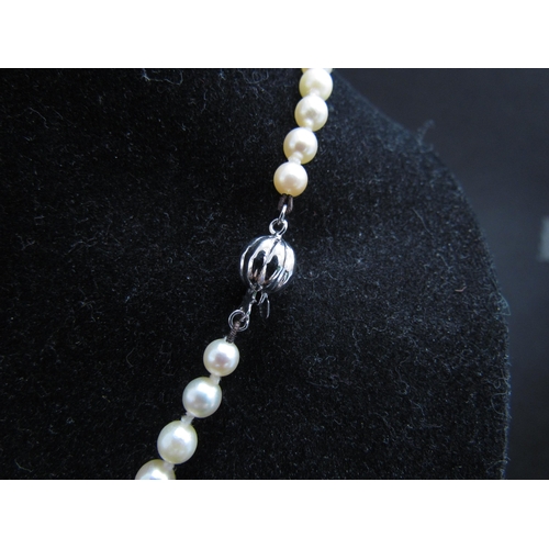 4407 - WITHDRAWN - A single strand graduated pearl necklace, 43cm long with 14k white gold clasp