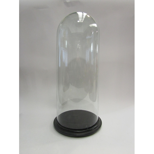 4433 - A large glass display dome on fitted stand,  50cm tall