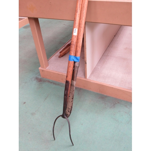 Lot 9206      