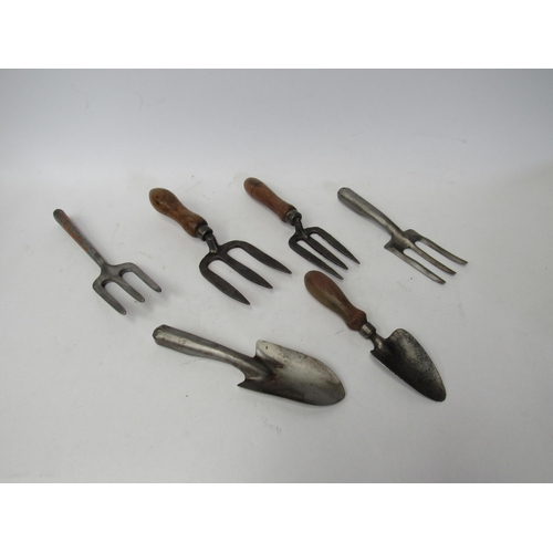 Lot 9215      