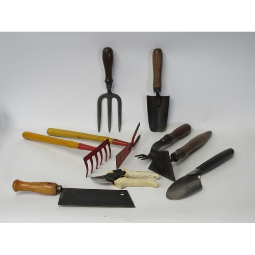 Lot 9216      