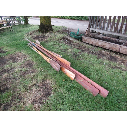 Lot 9251      