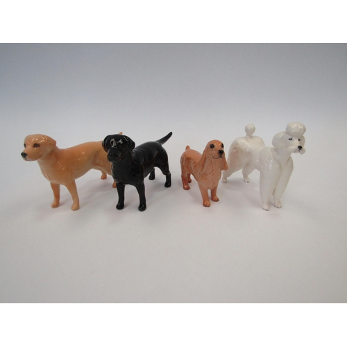 1474 - Four Beswick small dogs: Cocker Spaniel model no. 3377, Labrador (golden) model no. 1956, Labrador (... 