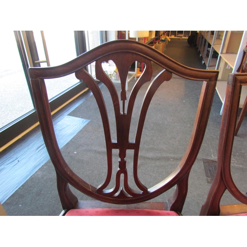 1020 - A pair of 19th Century mahogany shield-back dining chairs, drop-in seats        (E) £10-20