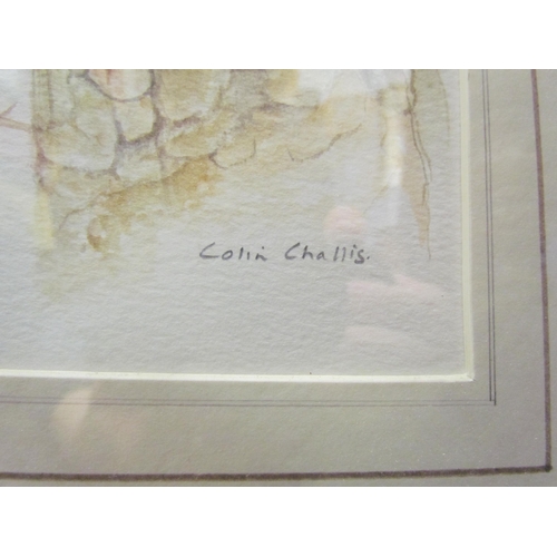 1076 - COLIN CHALLIS: A watercolour of blue tits by birdhouse, signed lower right, framed and glazed, 32cm ... 