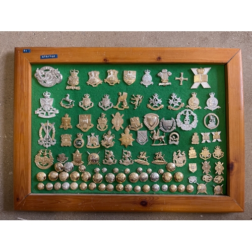 9159 - A framed display of officer training and university badges including Cambridge, Oxford and Duke of Y... 