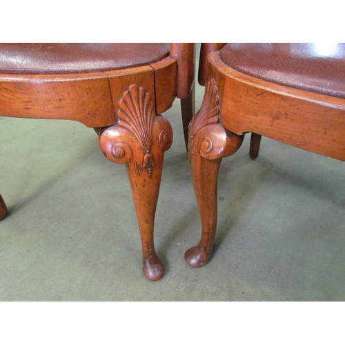 4042 - A pair of Queen Anne style walnut carver chairs with burr walnut back splat and shell form decoratio... 