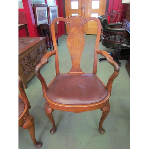 4042 - A pair of Queen Anne style walnut carver chairs with burr walnut back splat and shell form decoratio... 