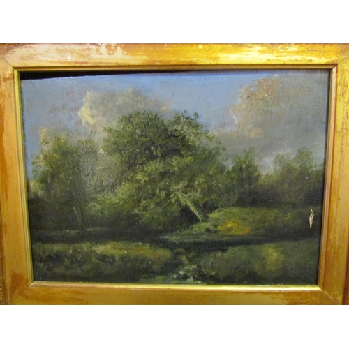 4064 - An oil on board depicting a river tree scape, gilt frame, 15cm x 20cm image size, a/f