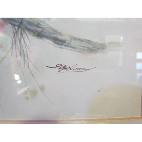 4065 - A framed and glazed watercolour of a Hawk on branches. Indistinctly signed lower right. Image size 3... 